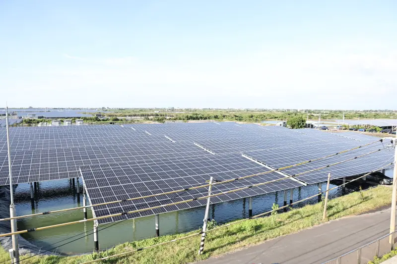 讓養殖回歸專業　光電七大公協會：以魚電共生實績導正個案偏見