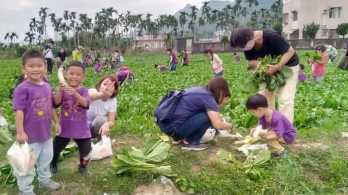 迎接白玉蘿蔔季！美濃客家庄教學農場開放預約鄉土體驗