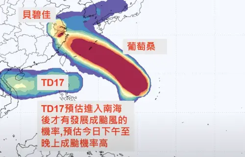 ▲從颱風路徑趨勢圖可以看出，葡萄桑、蘇力剛好一南一北把台灣夾在中間。（圖／賈新興YouTube）