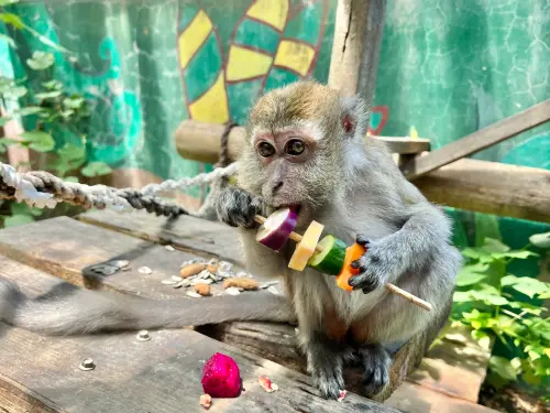 中秋節動物園也狂歡！壽山獅子嗑「4隻全鴨」　馬來猴挑食超可愛
