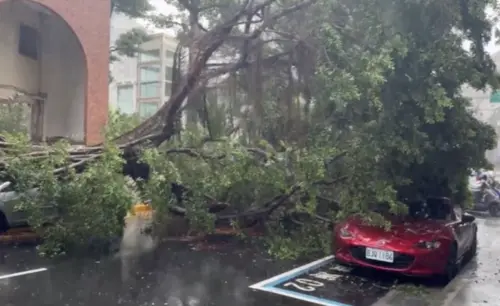 豪雨炸台北！西門町大樹「連根拔起」跑車慘被砸　雙載機車壓線過
