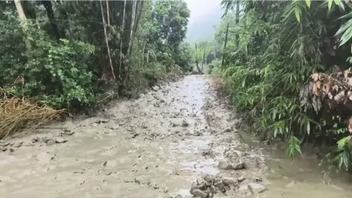 高雄豪大雨不斷！六龜山區傳土石流　公所、警消協助3戶緊急撤離
