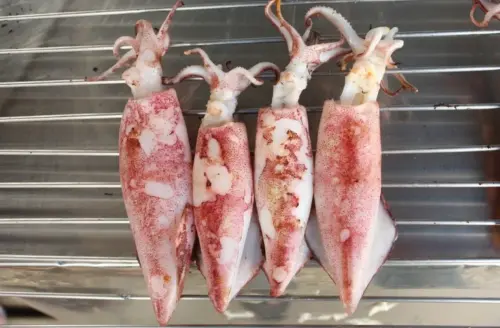 透抽、花枝、軟絲霧煞煞!菜市場老闆教學來了 一堆人買錯秒懂