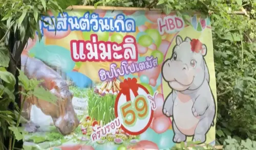 影/跟「彈跳豬」一起住!泰國最年長河馬歡慶59歲 享用水果大餐