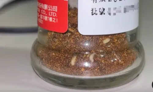 調味罐長滿「蠕動白芝麻」!正確保存法曝 一票人全錯:長知識了