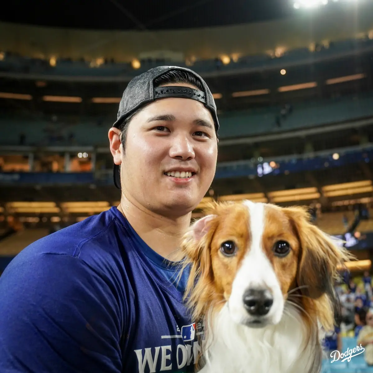 影／大谷翔平奪MVP榮耀時刻！愛犬卻突然「烙跑」  夫婦倆超錯愕