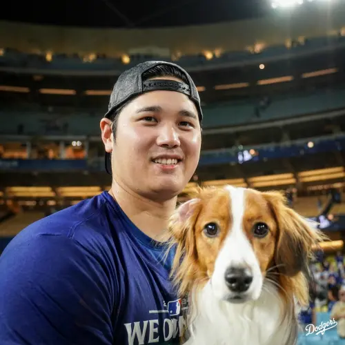 大谷翔平慶祝奪冠首發文！愛犬Decoy「喝醉」表情超萌　還搶占C位
