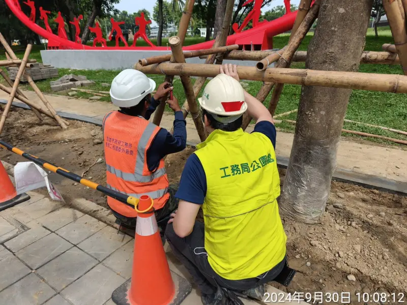 ▲高雄市工務局公園處持續強化防颱整備工作，加強全市行道樹木支架加固巡檢。（圖／高市府工務局提供）