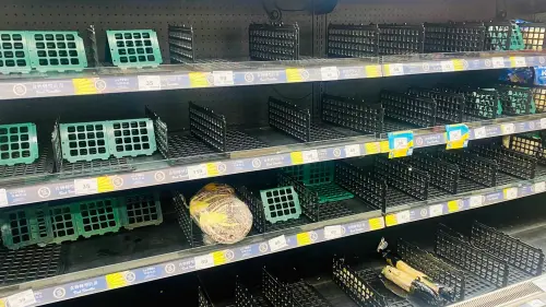 免想等下班搶買！全聯「一棵菜也沒了」　好市多連推車都被拿光
