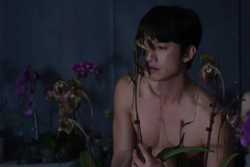 ▲《破浪男女》吳慷仁大尺度演出爭取在金馬獎連莊入圍最佳男主角,但碰上另外幾位曾獲影帝大獎的對手強力競爭。(圖/台北双喜電影提供) ▲《破浪男女》吳慷仁大尺度演出爭取在金馬獎連莊入圍最佳男主角,但碰上另外幾位曾獲影帝大獎的對手強力競爭。(圖/台北双喜電影提供)