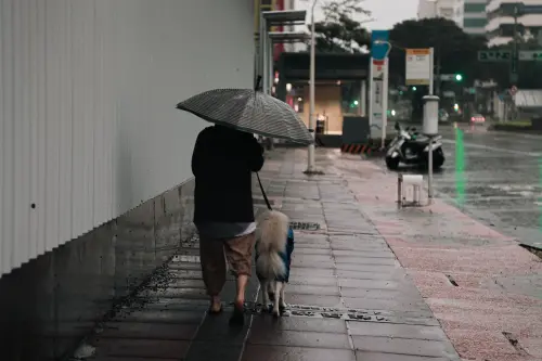 ▲中颱山陀兒逼近南台灣，高雄市區風雨加劇。（圖／記者葉政勳攝，20241003。）