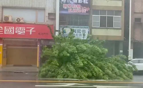 影／高雄狂風完換暴雨！路樹、紅綠燈全都倒　豪宅區美術館又淹水
