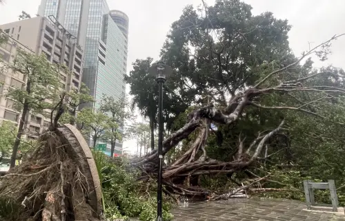 影／高雄30小時內25人送醫！風雨太嚇人　高醫急診推床耗盡
