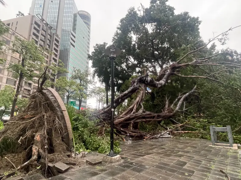 ▲山陀兒颱風颳起強風豪雨，強勁風勢及雨勢引起部分線路受損及樹枝觸壓電線，導致停電災情。（圖／記者葉政勳攝,2024,10,03）