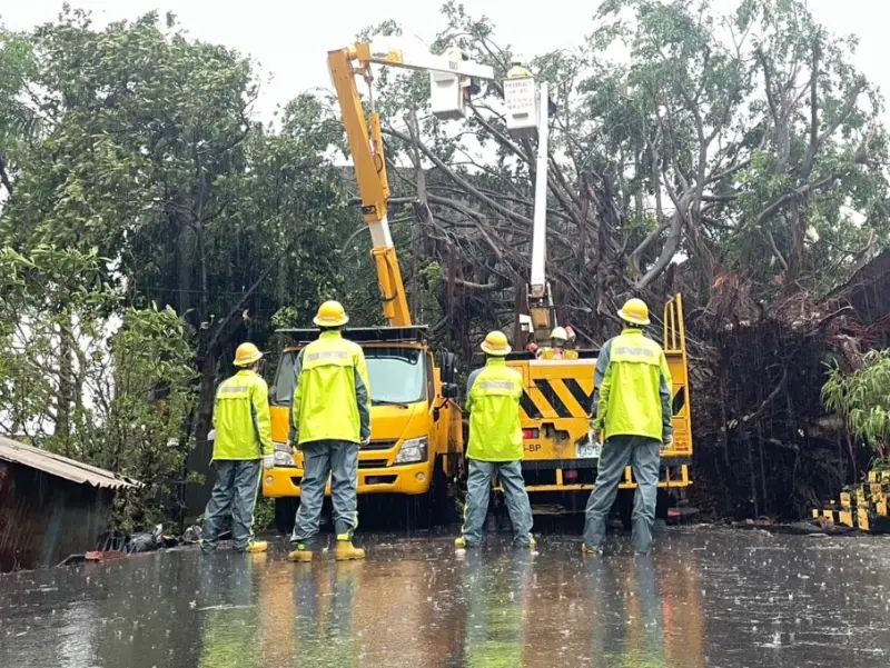 ▲山陀兒今天中午登陸高雄，台電高雄區處線路課同仁位於高雄市鼓山區的高雄韓國學校附近移除倒塌樹木，並進行高壓線路修復。(圖／台電提供)