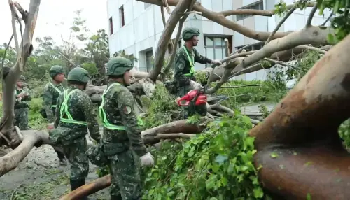 ▲第四作戰區機步333旅官兵在林邊鄉親林公園清理樹倒。（圖／屏東縣府提供）