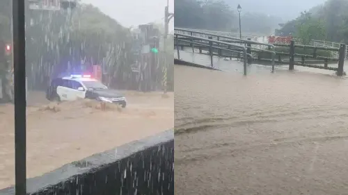 陽明山「水淹成河、警車泡水」　民眾驚呼：文大學生租屋又貴又慘
