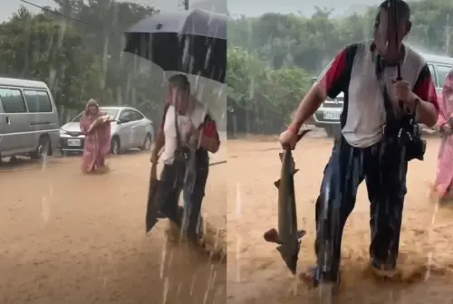 北海岸金山萬里超大豪雨致淹水！民眾路上撿鱘龍魚苦中作樂
