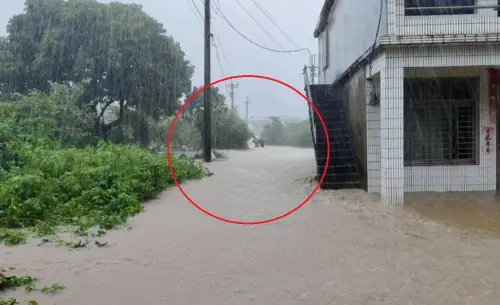 暴雨侵襲大水淹！金山夫妻遭沖走不幸遇難　最後返家身影曝光
