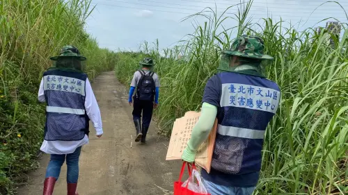 本土登革熱上週暴增10例！新店中和群聚案累計67例　雙北加強監測
