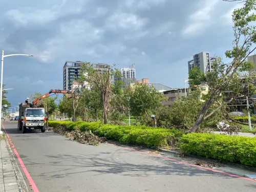 ▲鐵路地下化園道於颱風災後樹木扶正、清理。（圖／高市府地政局提供）