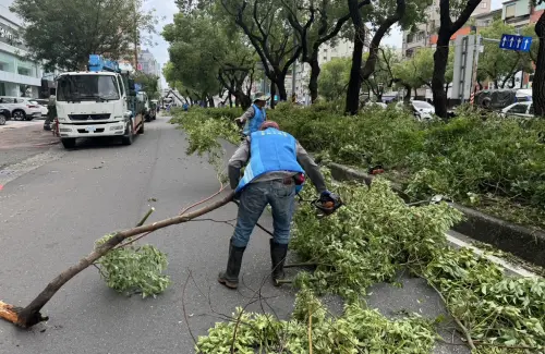 ▲台中市政府支援救災人員，協助將高雄馬路上阻礙交通的樹木斷枝清除。（圖／台中市政府提供，2024.10.07）