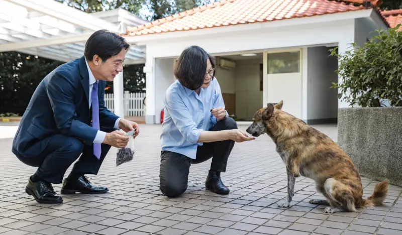 ▲蔡英文昨日赴賴清德官邸作客，不忘送上愛犬大禮包。（圖／總統府提供）