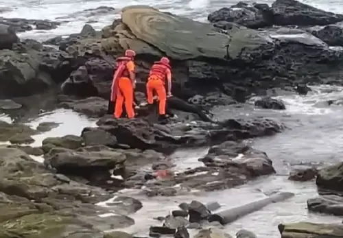 相約基隆望海巷海域潛水！40歲男上岸遭浪襲　頭部撞礁石送醫不治
