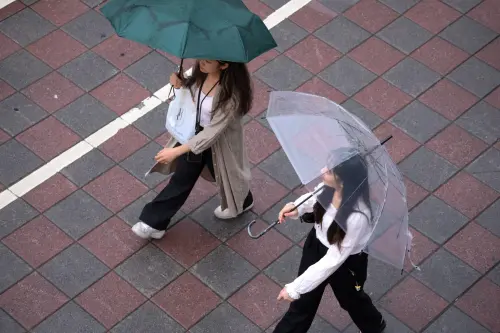 ▲大雨配圖、下雨、天氣配圖、撐傘、雨傘。（圖／NOWnews攝影中心，2024.09.23）