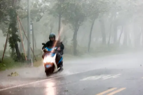 ▲台灣也流傳著在芒種這天觀測是否會下大雷雨，如果有則代表今年會是個豐收年，反之，則可能農收不盡理想。（圖／記者葉政勳攝）