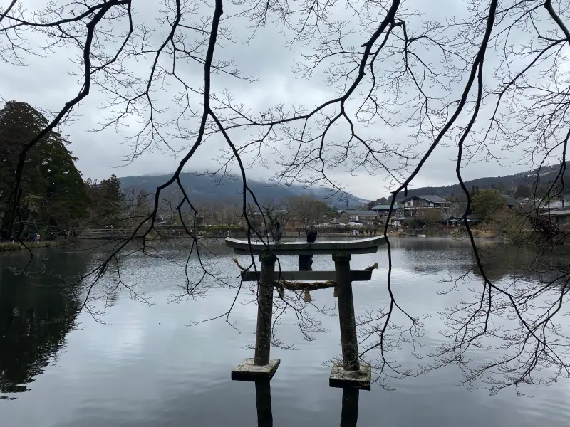 ▲台中「凱翔旅行社」無預警傳出倒閉，據傳有企業包團已付了將近200萬元，但負責人卻人間蒸發。台中市政府也證實，接獲包含日本、越南、埃及等行程之旅消費者之申訴。台中法制局呼籲無法出團又未收到退費之消費者，儘速向中華民國旅行業品質保障協會提出申訴。（示意圖／記者葉盛耀攝）