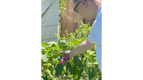 ▲透過這些具生命力的食材，讓他塵封的味蕾變得敏銳，這個意外收穫，埋下他開啟第二人生的種子。（圖／電農提供）