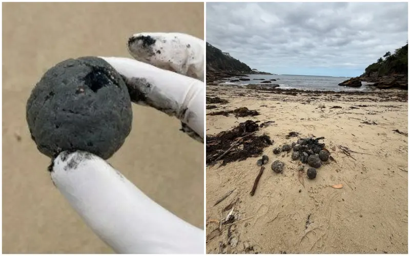 ▲澳洲雪梨近日在海灘發現數千顆「不明黑色球體」，7個海灘因此一度緊急關閉，當地議會初步調查後，認為這些物質是「焦油球（tar balls）」，因石油接觸水與砂石碎屑形成，通常是漏油事件導致。（合成圖／翻攝自Randwick City Council臉書）