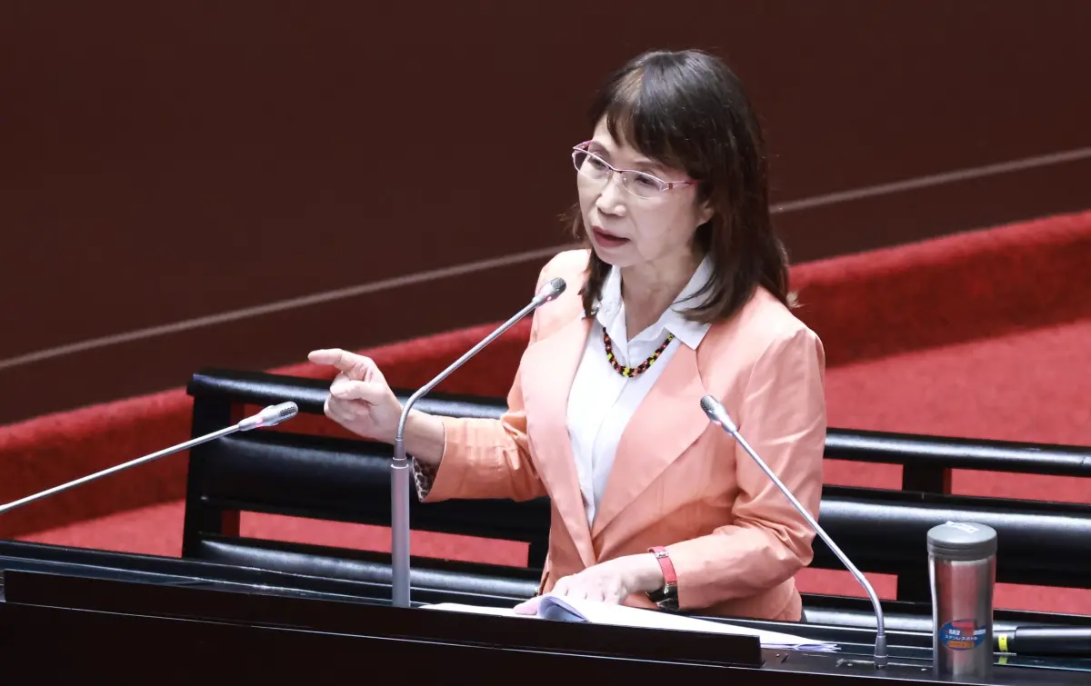 ▲陳昭姿質詢時批代理孕母制度，被少數人綁架，要求行政院長卓榮泰表態。（圖／吳翊緁攝，2024.10.22）