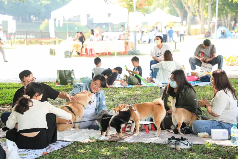 ▲去年的台中市民野餐日，屯區民眾帶著家裡的毛孩，一起在坪林森林公園享受綠意。（資料畫面／台中市政府提供）