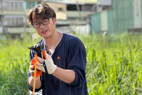 第一次救援小奶貓就被咬！民眾黨簡千翔秀「大白包」喊：很值得
