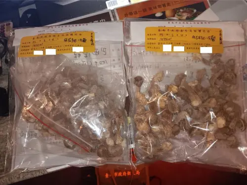 食藥署抽驗市售食品！「這一鍋」巴西蘑菇、澎湖海膽重金屬鎘超標
