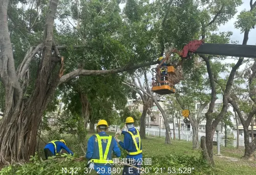 康芮颱風來襲　高市公園處提醒車輛不要停放於路樹下
