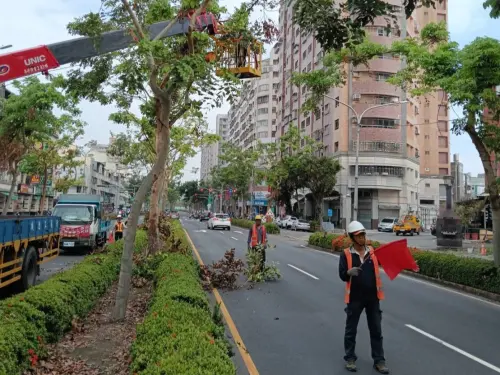 ▲公園處也將持續加強樹木支架的巡檢固定及路、園燈檢修，並持續進行樹木修剪作業，施工期間會進行現場交通管制，請民眾配合施作人員指揮。（圖／高市府提供）