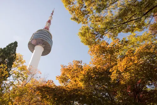 ▲ITF國際旅展現場雄獅旅遊祭出「韓國4日免萬元」展場優惠，還有造訪《黑白大廚》評審白種元餐廳行程可選。（圖／雄獅旅遊提供）