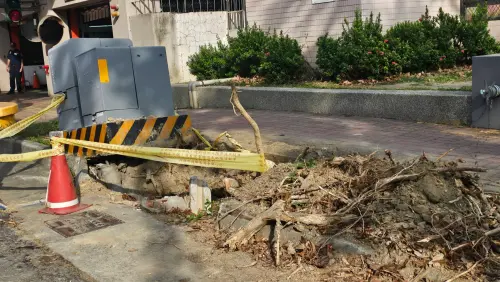 ▲黃文益也直指，目前高雄中華路、河南路或六合路的六合公園，均出現路樹與變電箱緊鄰的公安危機，路樹與變電箱不能結合，以免影響居民用電。(圖／高市府提供)