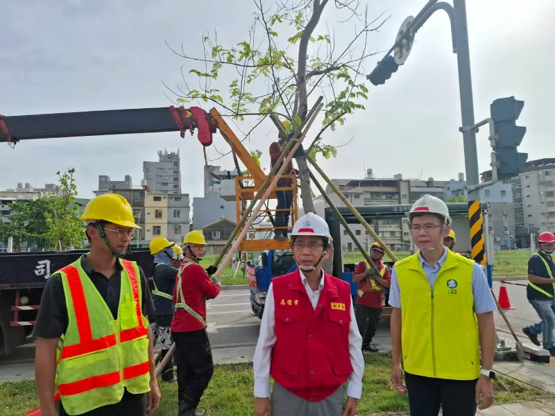 ▲因應強颱康芮來襲前夕，高雄市副市長林欽榮視察市區樹木加固支撐及修剪作業。（圖／高雄市政府）