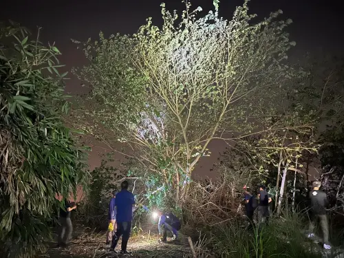 屏東縣萬丹鄉驚見綠鬣蜥趴趴走,議員洪宗麒指出,近期因綠鬣蜥啃光農作物,因此啟動了好幾天的「夜間巡捕」。(圖/翻攝屏東縣議員洪宗麒臉書) ▲屏東縣萬丹鄉驚見綠鬣蜥趴趴走,議員洪宗麒指出,近期因綠鬣蜥啃光農作物,因此啟動了好幾天的「夜間巡捕」。(圖/翻攝屏東縣議員洪宗麒臉書)