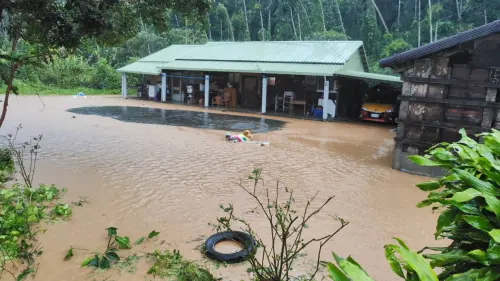 ▲壽豐鄉樹湖村