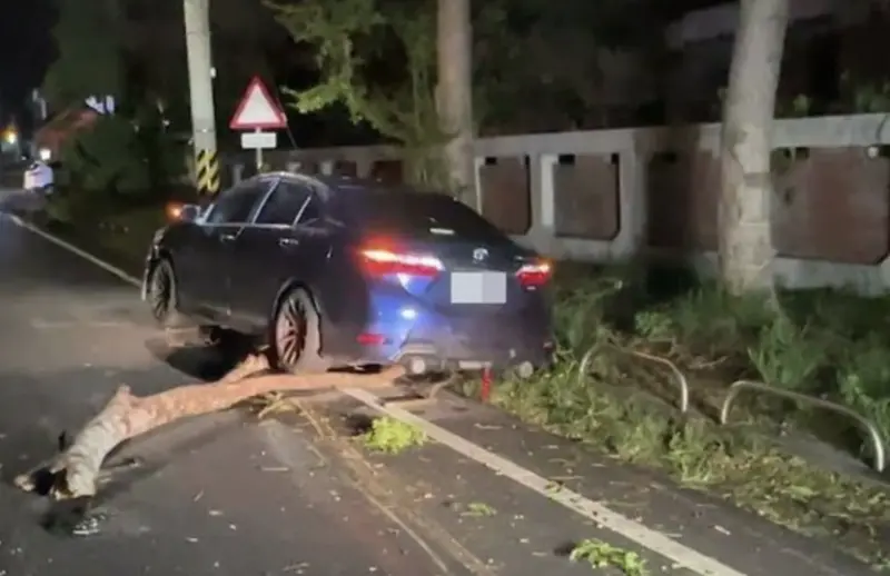 ▲一名潘姓女子當時駕車準備上夜班，未料行經山西路一段時，突然一陣強風襲來，路邊大樹整個被吹斷，樹枝直接砸向轎車，所幸潘女反應迅速，將車輛向右閃躲，躲過一劫。（圖／翻攝畫面）