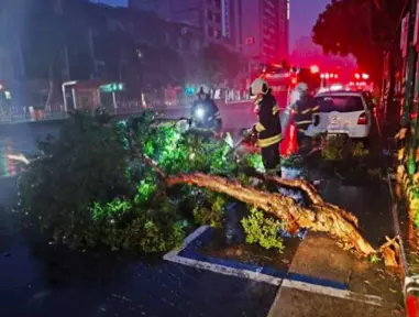 ▲康芮颱風來襲，北市發生多起路樹倒塌災情。（圖／北市災害應變中心提供）