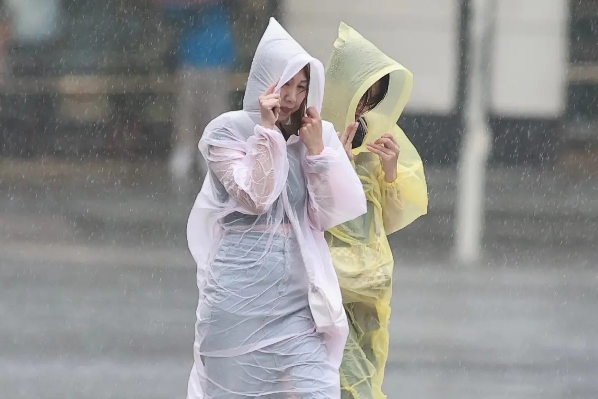 雨衣穿壞丟回收還是垃圾？環保局曝光分類關鍵　丟錯恐挨罰6000元
