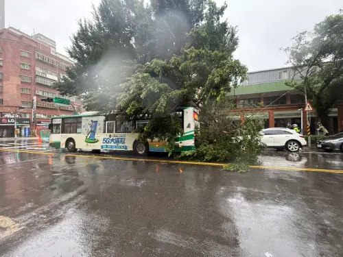 影／「康芮」強風吹倒路樹　巨樹壓公車幸5乘客無大礙
