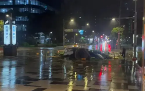 康芮颱風吹爆台灣!南港大樹爺爺陣亡、可頌離家 卡比之星最荒唐