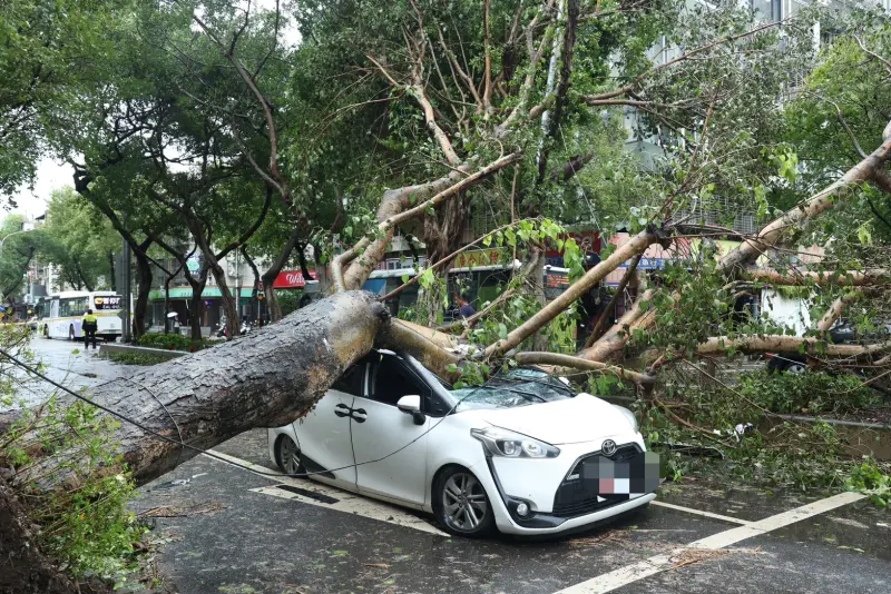 ▲颱風康芮肆虐，台北市多地發生路樹傾倒。（圖／記者陳明安攝）